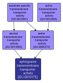 GO:0010175 - sphingosine transmembrane transporter activity (interactive image map)