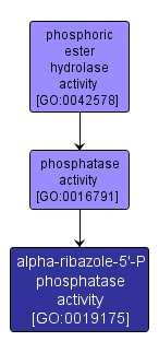 GO:0019175 - alpha-ribazole-5'-P phosphatase activity (interactive image map)