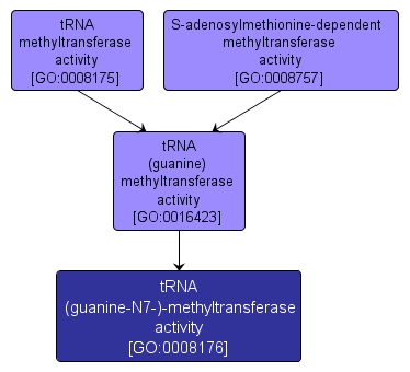 GO:0008176 - tRNA (guanine-N7-)-methyltransferase activity (interactive image map)