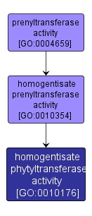 GO:0010176 - homogentisate phytyltransferase activity (interactive image map)