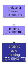 GO:0043177 - organic acid binding (interactive image map)