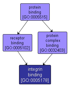 GO:0005178 - integrin binding (interactive image map)