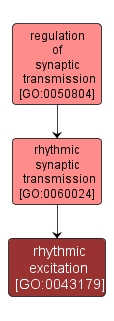 GO:0043179 - rhythmic excitation (interactive image map)