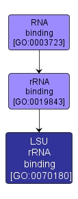 GO:0070180 - LSU rRNA binding (interactive image map)