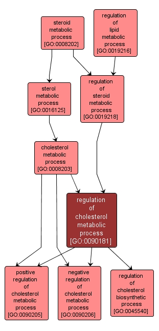 GO:0090181 - regulation of cholesterol metabolic process (interactive image map)