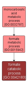 GO:0042183 - formate catabolic process (interactive image map)