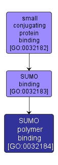GO:0032184 - SUMO polymer binding (interactive image map)