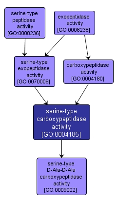 GO:0004185 - serine-type carboxypeptidase activity (interactive image map)