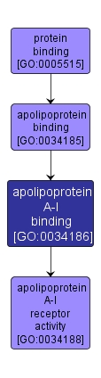 GO:0034186 - apolipoprotein A-I binding (interactive image map)