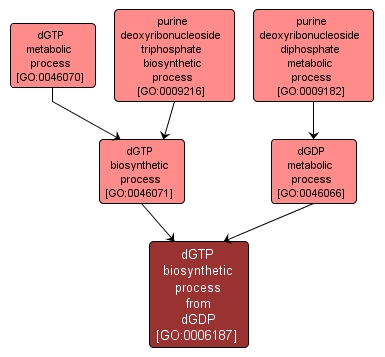GO:0006187 - dGTP biosynthetic process from dGDP (interactive image map)