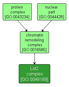 GO:0048189 - Lid2 complex (interactive image map)