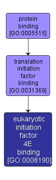 GO:0008190 - eukaryotic initiation factor 4E binding (interactive image map)