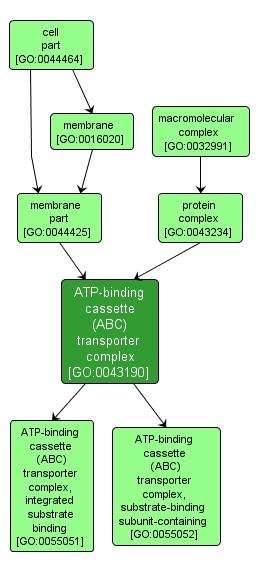 GO:0043190 - ATP-binding cassette (ABC) transporter complex (interactive image map)