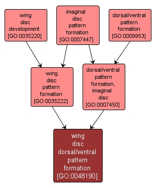 GO:0048190 - wing disc dorsal/ventral pattern formation (interactive image map)