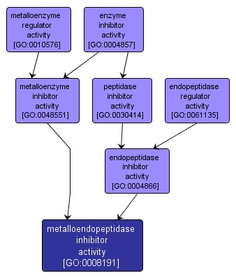 GO:0008191 - metalloendopeptidase inhibitor activity (interactive image map)
