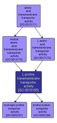 GO:0015193 - L-proline transmembrane transporter activity (interactive image map)