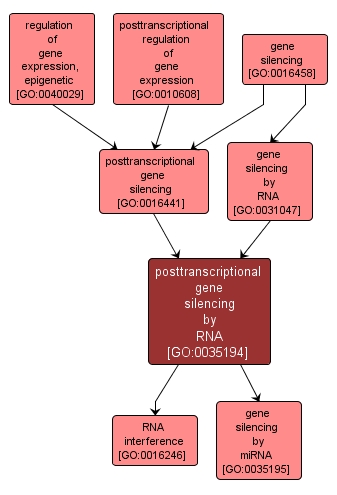 GO:0035194 - posttranscriptional gene silencing by RNA (interactive image map)
