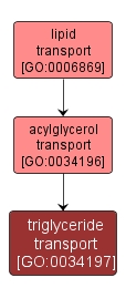GO:0034197 - triglyceride transport (interactive image map)