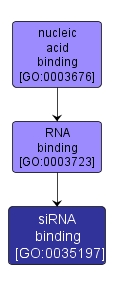 GO:0035197 - siRNA binding (interactive image map)