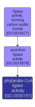 GO:0050197 - phytanate-CoA ligase activity (interactive image map)