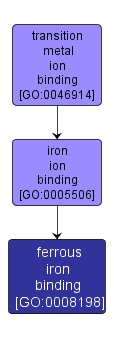 GO:0008198 - ferrous iron binding (interactive image map)