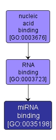 GO:0035198 - miRNA binding (interactive image map)