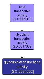 GO:0034202 - glycolipid-translocating activity (interactive image map)