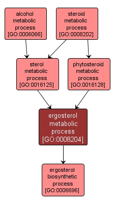 GO:0008204 - ergosterol metabolic process (interactive image map)