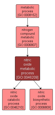 GO:0046209 - nitric oxide metabolic process (interactive image map)