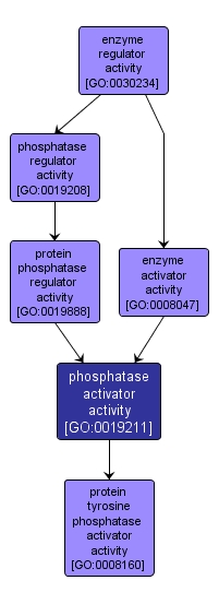 GO:0019211 - phosphatase activator activity (interactive image map)