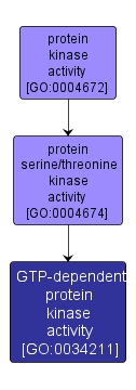 GO:0034211 - GTP-dependent protein kinase activity (interactive image map)