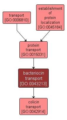 GO:0043213 - bacteriocin transport (interactive image map)