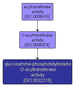 GO:0032216 - glucosaminyl-phosphotidylinositol O-acyltransferase activity (interactive image map)