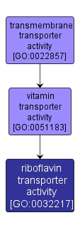 GO:0032217 - riboflavin transporter activity (interactive image map)