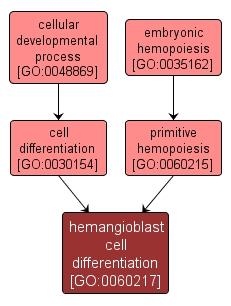GO:0060217 - hemangioblast cell differentiation (interactive image map)