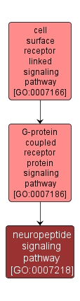 GO:0007218 - neuropeptide signaling pathway (interactive image map)