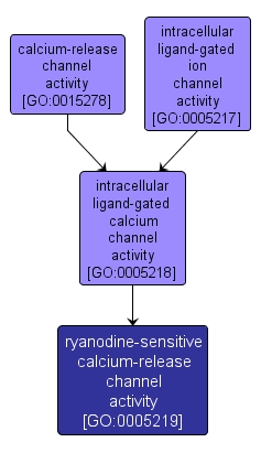 GO:0005219 - ryanodine-sensitive calcium-release channel activity (interactive image map)