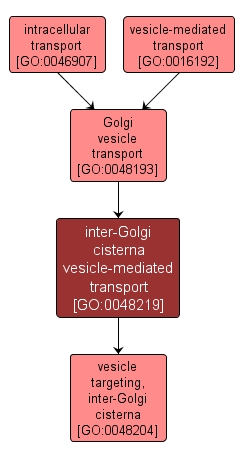 GO:0048219 - inter-Golgi cisterna vesicle-mediated transport (interactive image map)