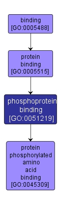 GO:0051219 - phosphoprotein binding (interactive image map)