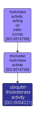 GO:0004221 - ubiquitin thiolesterase activity (interactive image map)