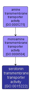 GO:0015222 - serotonin transmembrane transporter activity (interactive image map)
