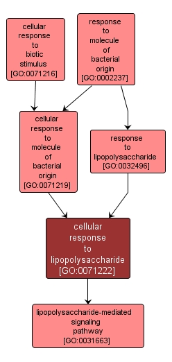 GO:0071222 - cellular response to lipopolysaccharide (interactive image map)