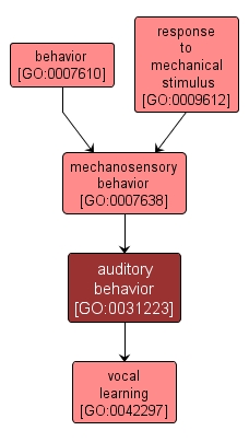 GO:0031223 - auditory behavior (interactive image map)