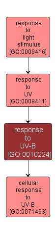 GO:0010224 - response to UV-B (interactive image map)