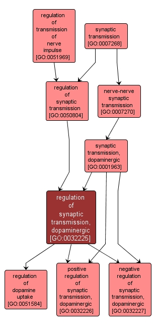 GO:0032225 - regulation of synaptic transmission, dopaminergic (interactive image map)