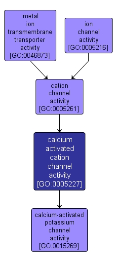 GO:0005227 - calcium activated cation channel activity (interactive image map)