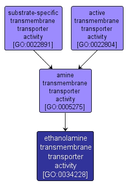 GO:0034228 - ethanolamine transmembrane transporter activity (interactive image map)