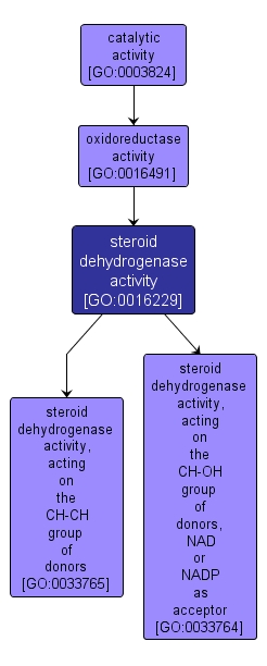 GO:0016229 - steroid dehydrogenase activity (interactive image map)