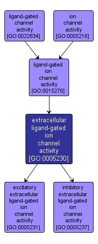 GO:0005230 - extracellular ligand-gated ion channel activity (interactive image map)