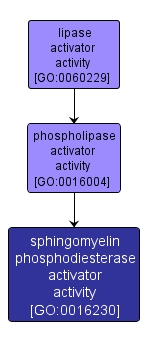 GO:0016230 - sphingomyelin phosphodiesterase activator activity (interactive image map)